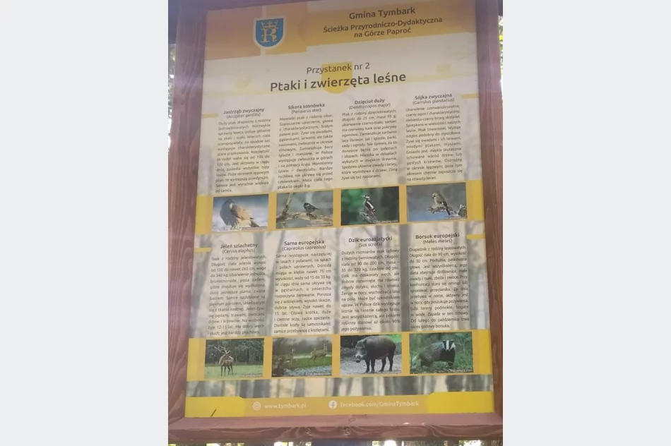 Harnaś zakończył piłkarski obóz - zdjęcie 12