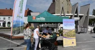 Trzecia odsłona „regionalnych smaków" z zagórzańskimi akcentami - zdjęcie 3