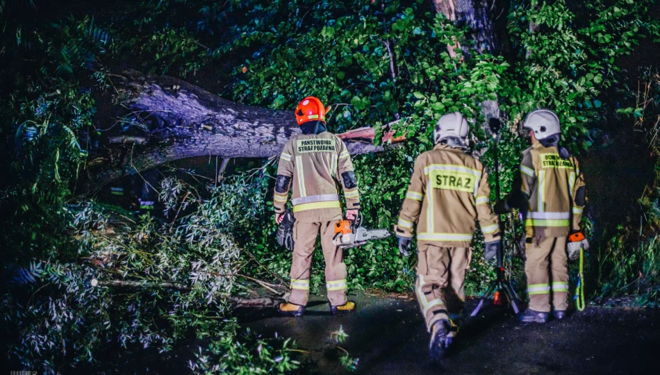 Strażacy usuwali skutki gwałtownych burz - zdjęcie 1