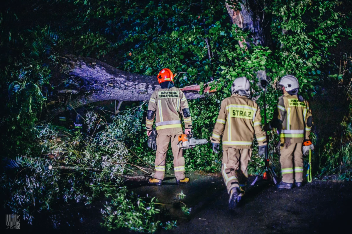 Strażacy usuwali skutki gwałtownych burz