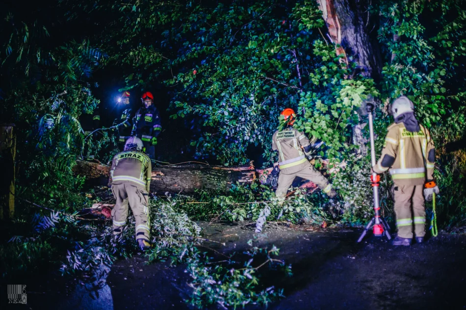 Strażacy usuwali skutki gwałtownych burz - zdjęcie 2