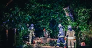 Strażacy usuwali skutki gwałtownych burz - zdjęcie 4