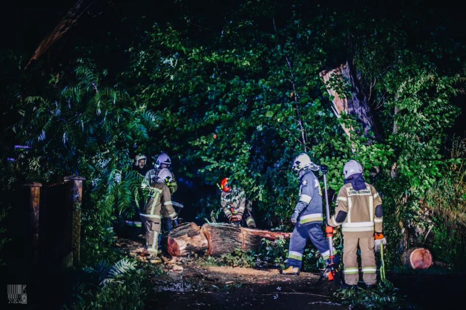 Strażacy usuwali skutki gwałtownych burz - zdjęcie 4