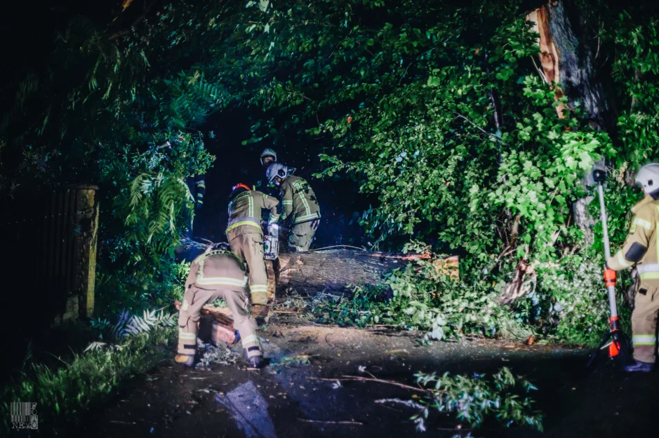 Strażacy usuwali skutki gwałtownych burz - zdjęcie 3
