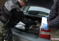 Ujawnili 10 000 nielegalnych papierosów - zdjęcie główne