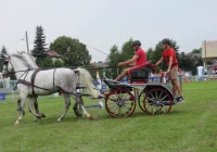 Wyjątkowe zmagania i festyn  - zdjęcie główne