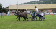 Wyjątkowe zmagania i festyn  - zdjęcie 3