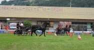 Wyjątkowe zmagania i festyn  - zdjęcie 4