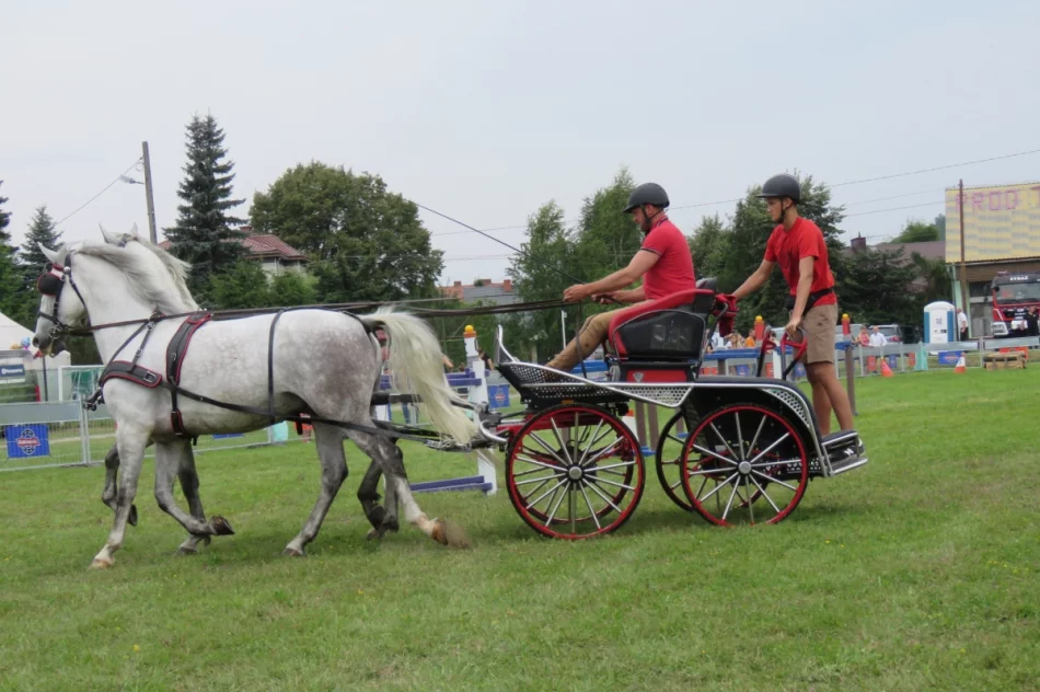 Wyjątkowe zmagania i festyn  - zdjęcie 5
