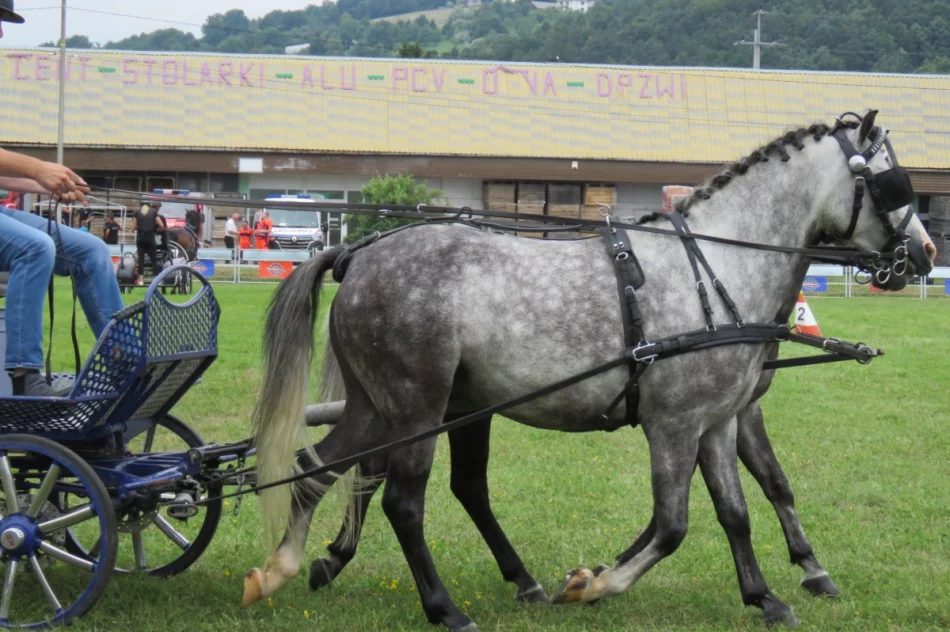 Wyjątkowe zmagania i festyn  - zdjęcie 6