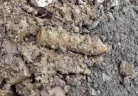 Znaleziono niewybuch - prawdopodobnie kompletny pocisk artyleryjski - zdjęcie główne