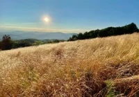 Prognoza synoptyczna na weekend - zdjęcie główne