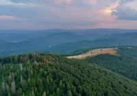 Oferta zbyt droga o przeszło pół miliona - zdjęcie główne