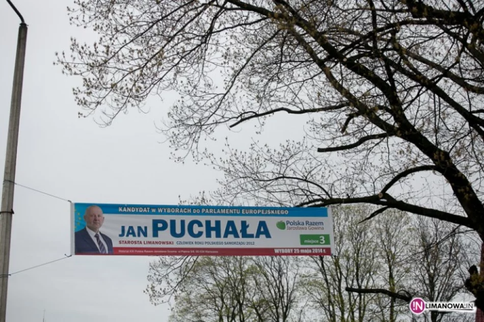 104-letni dąb stracił konary... przez wybory - zdjęcie 3