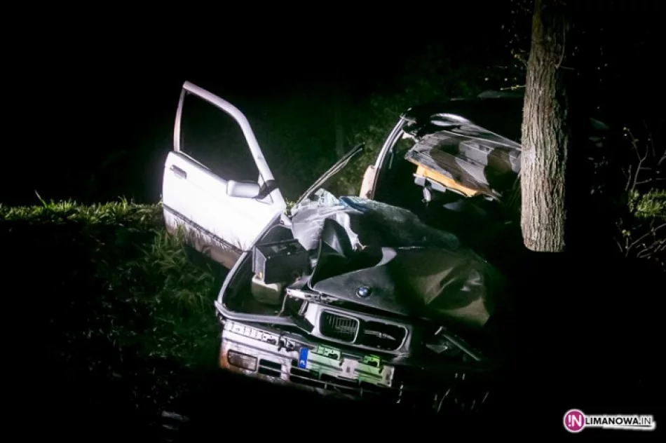 BMW uderzyło w drzewo, kierowca był pijany - zdjęcie 2