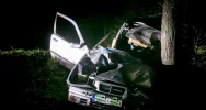 BMW uderzyło w drzewo, kierowca był pijany - zdjęcie 2
