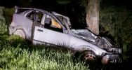 BMW uderzyło w drzewo, kierowca był pijany - zdjęcie 4