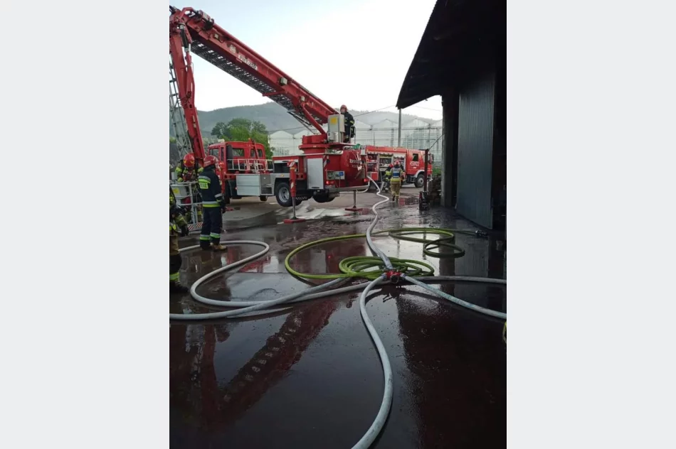 Zapaliła się kotłownia, pożar ugasili strażacy - zdjęcie 7