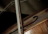 Sukcesy młodych muzyków - zdjęcie główne