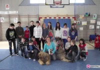 Rasowe psy i zdrowa żywność w szkole - zdjęcie główne