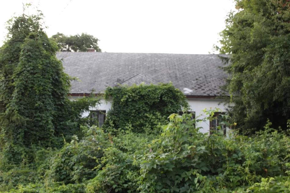 Spacer odsłonił historię miejscowości - zdjęcie 14