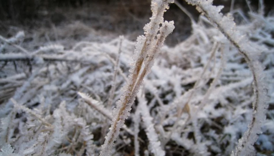 Meteorolodzy wydali ostrzeżenie - zdjęcie 1