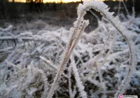 Meteorolodzy wydali ostrzeżenie - zdjęcie główne