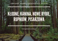 Projekt planu urządzania lasów do wglądu w Urzędzie Gminy - zdjęcie główne