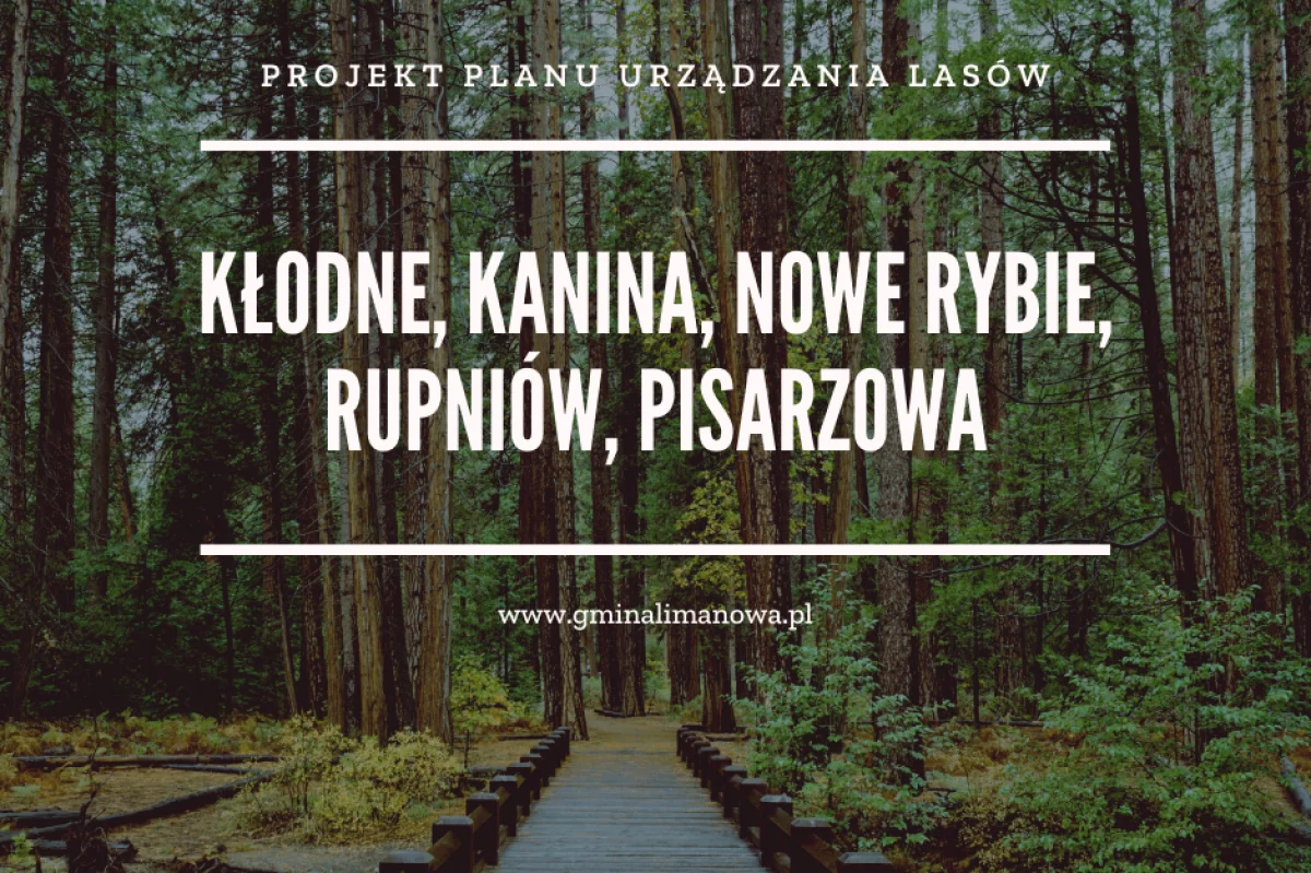 Projekt planu urządzania lasów do wglądu w Urzędzie Gminy