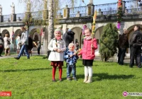 Palm przybywa - poznaj zwycięzców - zdjęcie główne