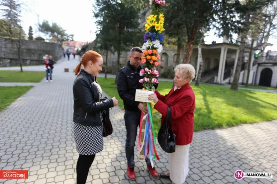 Palm przybywa - poznaj zwycięzców - zdjęcie 2