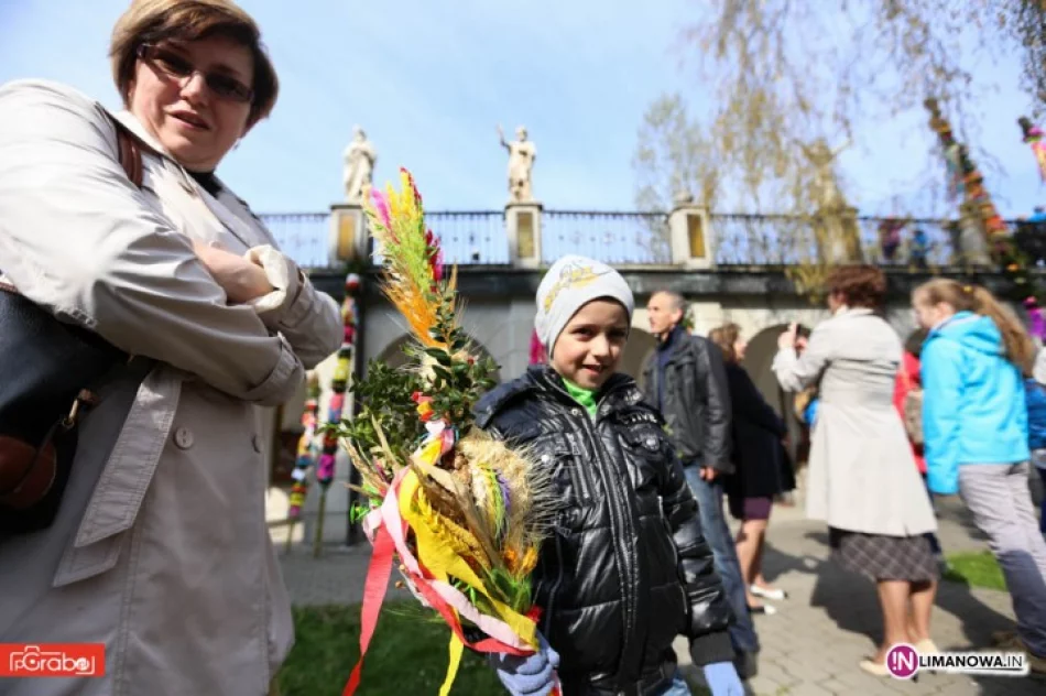 Palm przybywa - poznaj zwycięzców - zdjęcie 3