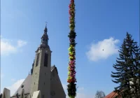 22-metrowa palma na płycie rynku. Jutro konkursy - zdjęcie główne