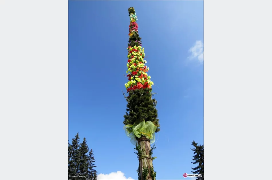 22-metrowa palma na płycie rynku. Jutro konkursy - zdjęcie 2