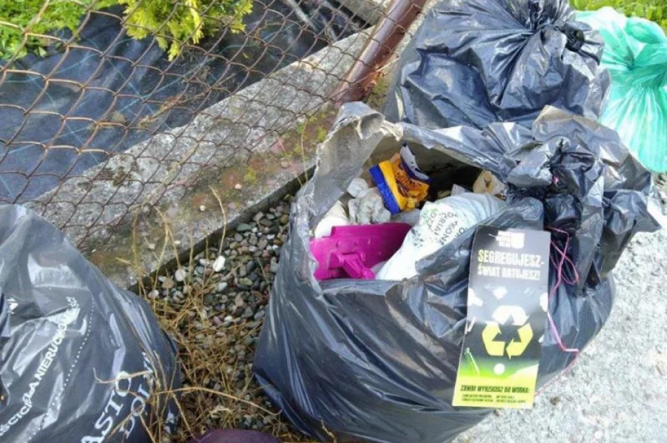 W mieście rozpoczęto kontrolę segregacji odpadów.  - zdjęcie 5