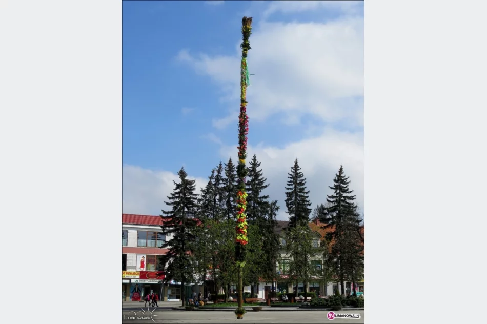 22-metrowa palma na płycie rynku. Jutro konkursy - zdjęcie 3