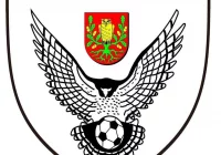 Sokół poległ na Podhalu w końcówce - zdjęcie główne