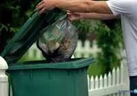 Dotychczasowe stawki za śmieci prawdopodobnie uda się utrzymać - zdjęcie główne