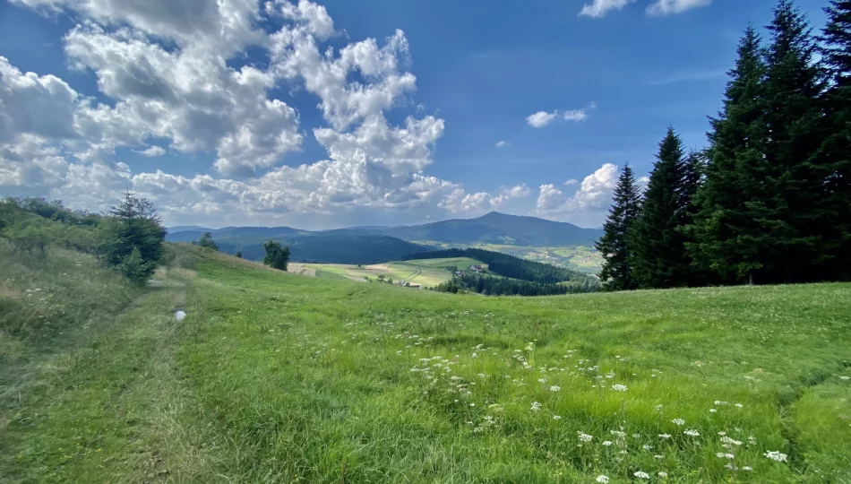 Ostatnie chwile pięknej pogody, później deszcz i gwałtowne ochłodzenie - zdjęcie 1