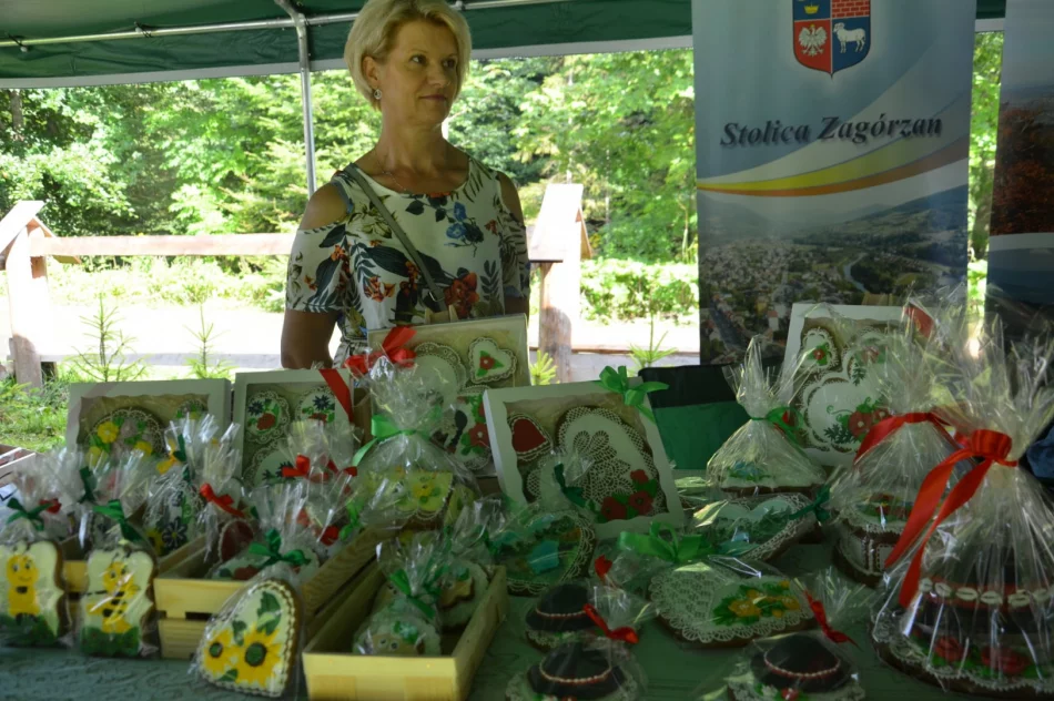 Plenerowa impreza w parku narodowym - zdjęcie 17