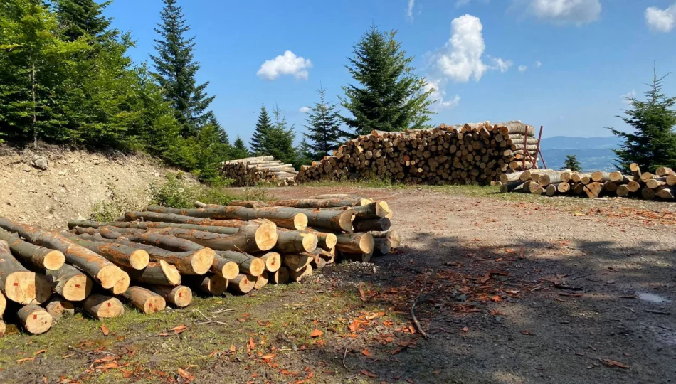 Nowy cennik nadleśnictwa i drastyczne podwyżki cen drewna - zdjęcie 1