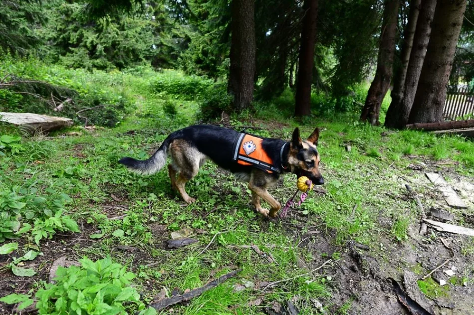 GOPR ma odnowioną dyżurkę - zdjęcie 7