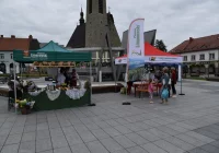 Regionalne smaki i unikatowe rękodzieło zachwycały na rynku - zdjęcie główne