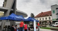 Regionalne smaki i unikatowe rękodzieło zachwycały na rynku - zdjęcie 2