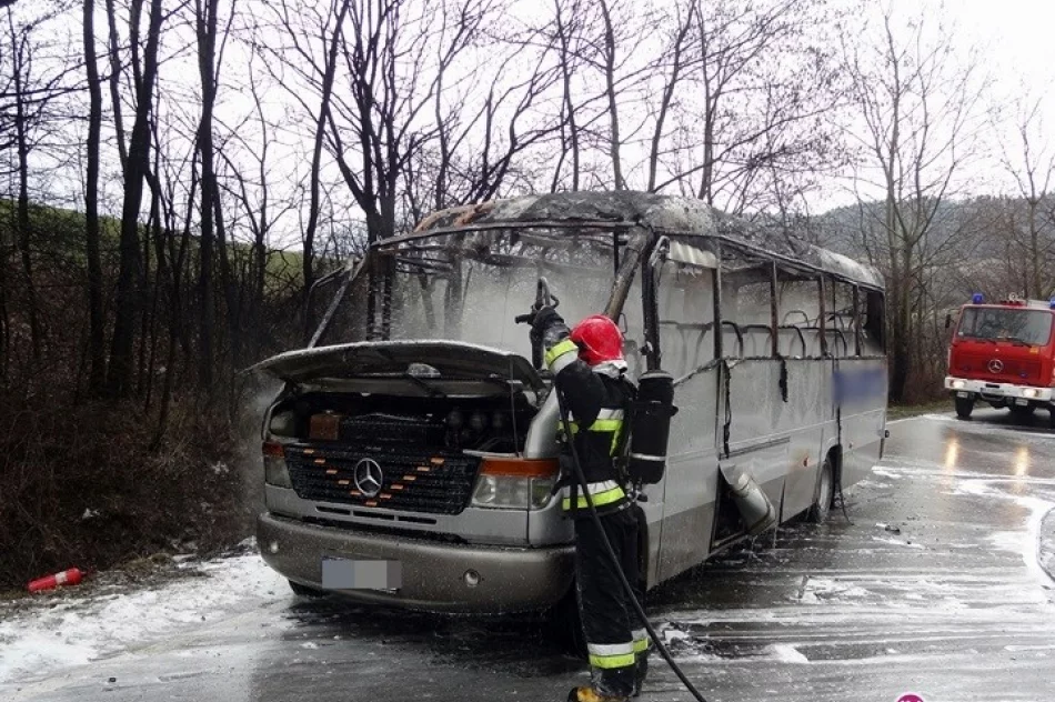Przyczynę pożaru ustali biegły - zdjęcie 4