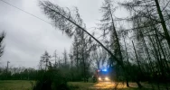 Połamane drzewa, latające reklamy i ogrodzenia - zdjęcie 2