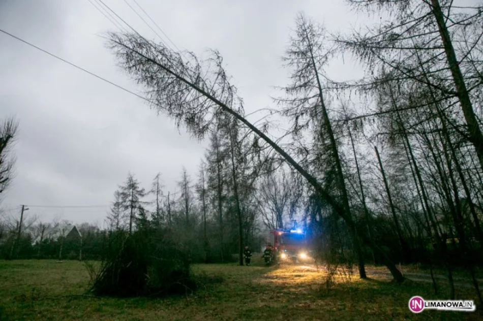 Połamane drzewa, latające reklamy i ogrodzenia - zdjęcie 2