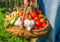 Lokalność to coś więcej niż tylko produkt - zdjęcie główne
