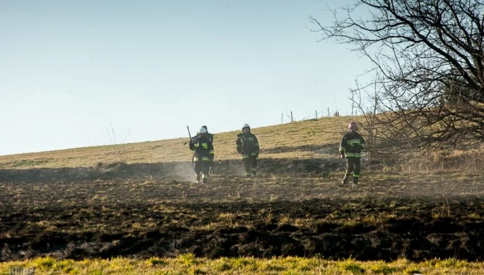 Gwałtownie rośnie liczba pożarów traw - zdjęcie 1