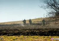 Gwałtownie rośnie liczba pożarów traw - zdjęcie główne